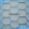 Tissu de fil de poulet de 1/2 pouce avec le fournisseur de la Chine de grillage hexagonal galvanisé/enduit de PVC